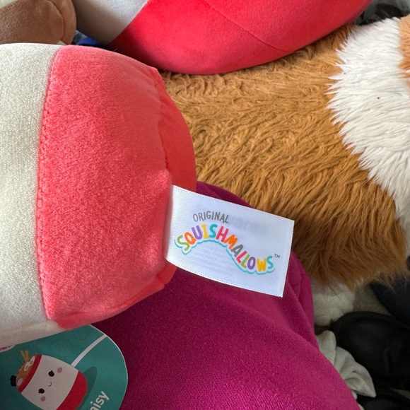 Squishmallows Raisy Plush Toy 5” - Picture 2 of 3